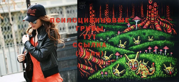 PSILOCYBIN Горняк